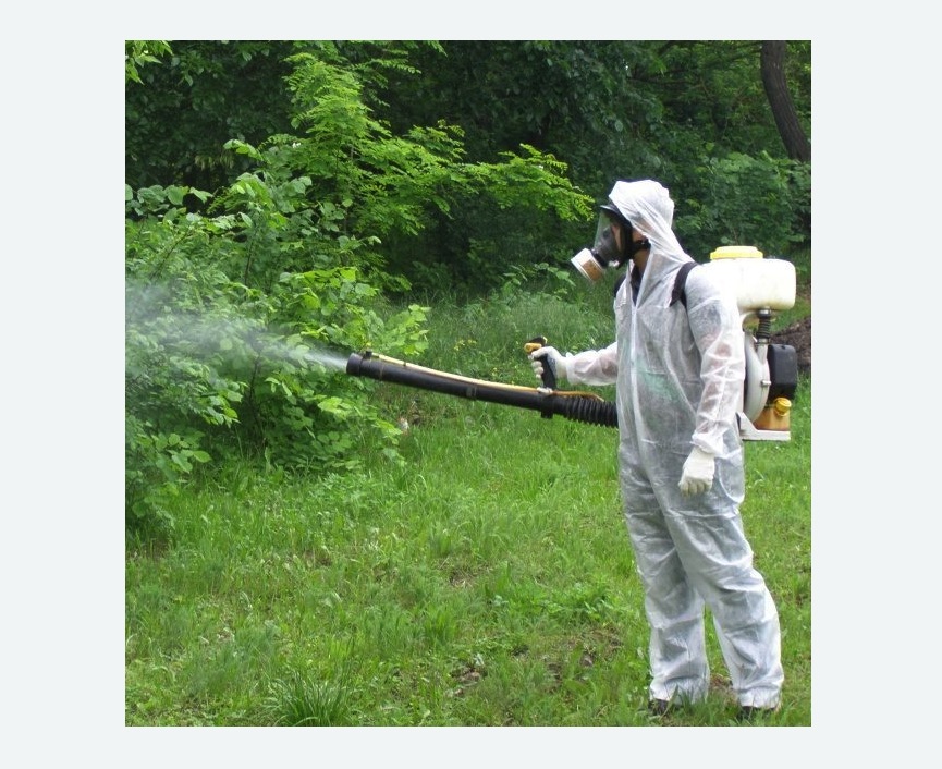 обработка территории от клещей в Куйбышеве