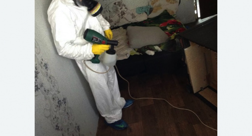 Обработка квартир от насекомых в Куйбышеве