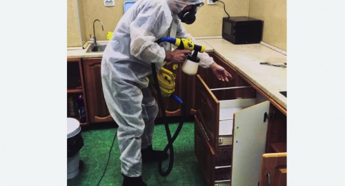 Дезинсекция квартиры. Куйбышев
