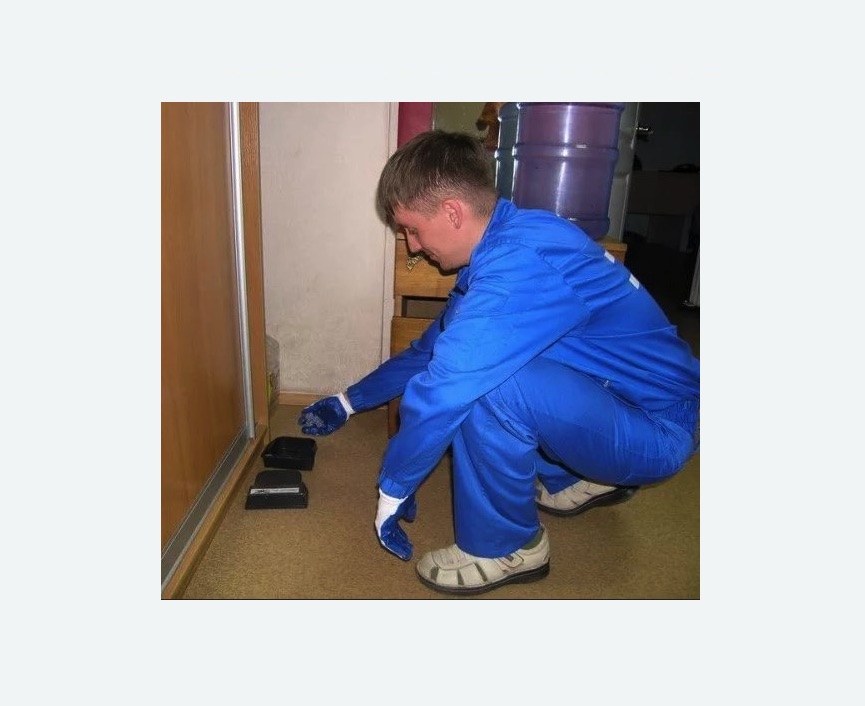 Дератизация крыс Дератизация крыс в Куйбышеве