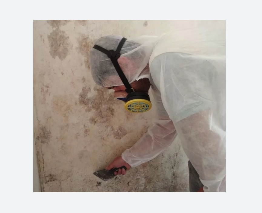 Обработка стен от плесени в Куйбышеве