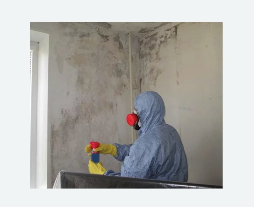 Удаление плесени в квартире в Куйбышеве