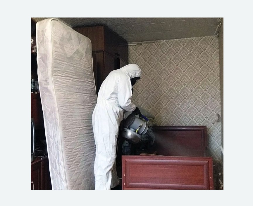 дезинфекция от клопов в Куйбышеве