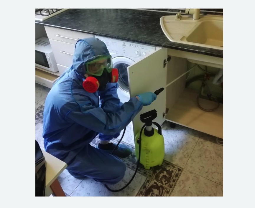 обработка от муравьев в квартире обработка от муравьев в квартире в Куйбышеве