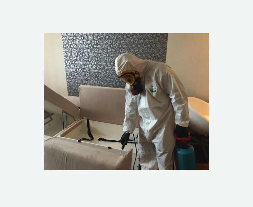 уничтожение клопов в квартире в Куйбышеве