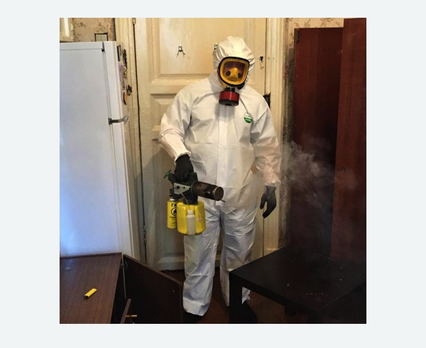 уничтожение муравьев в квартире уничтожение муравьев в квартире в Куйбышеве